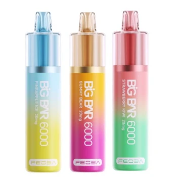 Feoba Big Bar 6000 Disposable Vape